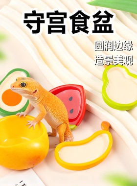 守宫蜥蜴喂食造景盘新潮