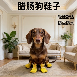 腊肠犬专用四季 套夏季 居家室内防滑多色宠物鞋 子袜子 脚套家居鞋