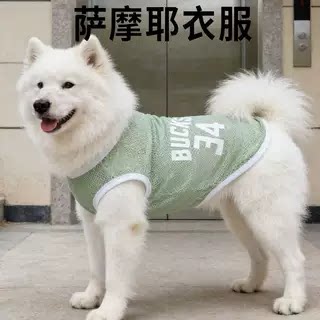 萨摩耶春夏网格透气背心图片