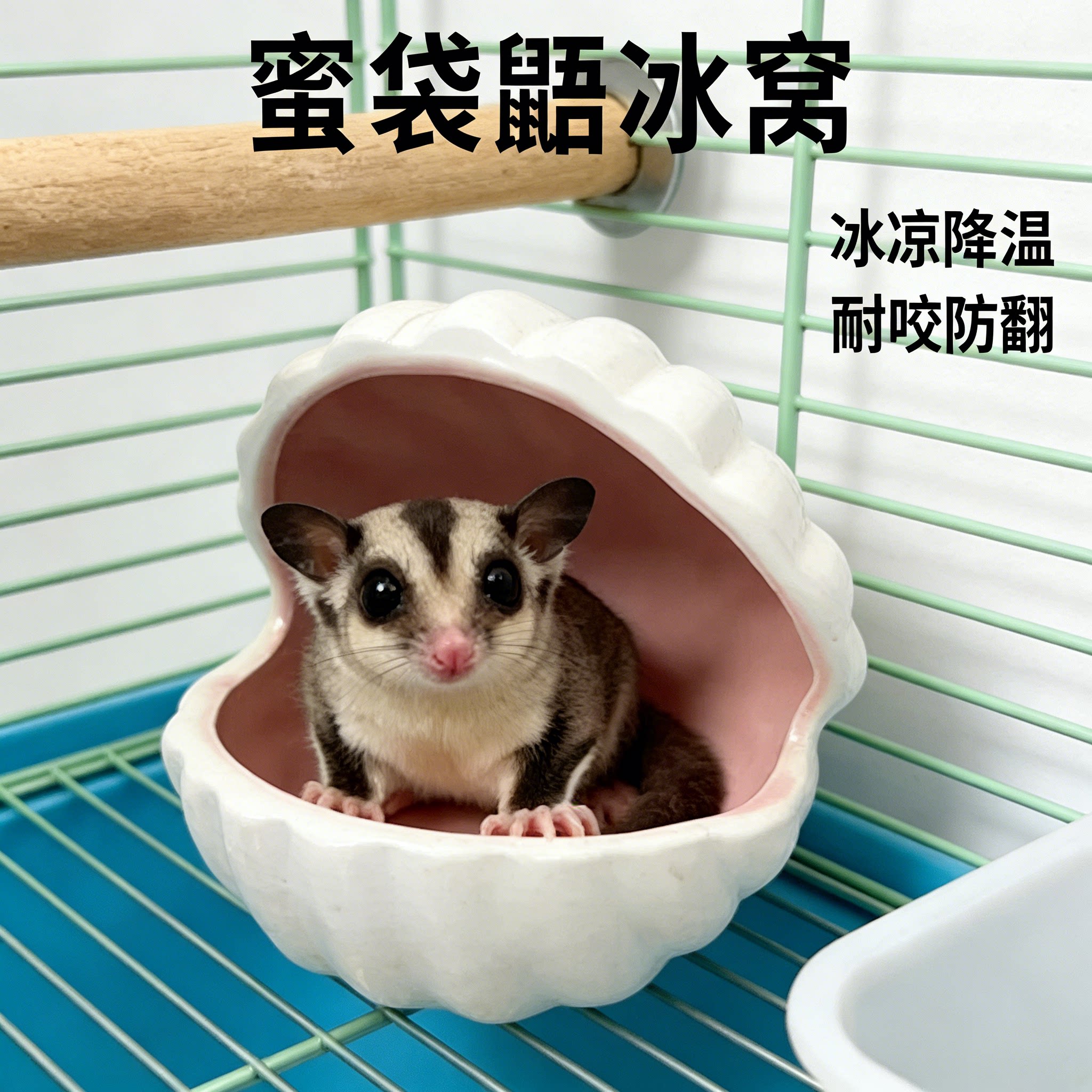 蜜袋鼯夏季陶瓷冰屋降温躲避睡窝图片
