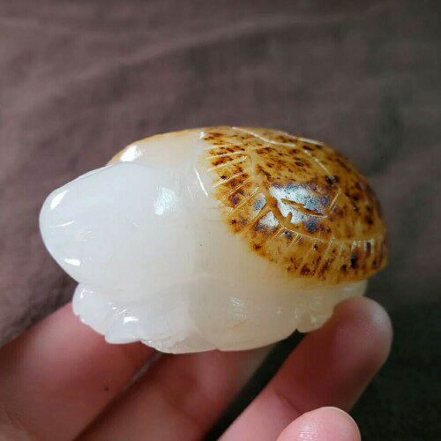 正品玉石玉器龙龟手把件