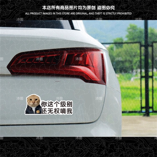 圆头耄耋汽车贴纸这个级别还无权嘀我猫咪表情搞笑车贴车身装饰贴