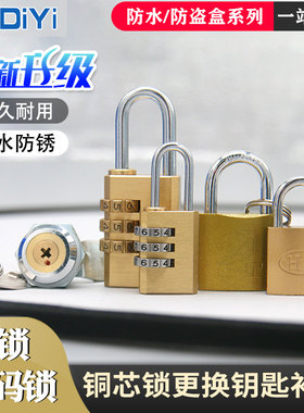 防盗锁盒优质铜芯锁 一字不通用锁  密码锁 挂锁  钥匙补配单拍
