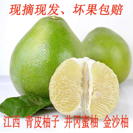 白心柚井冈蜜柚青皮柚子孕妇水果吉安白水基地金沙柚水分爆汁包邮