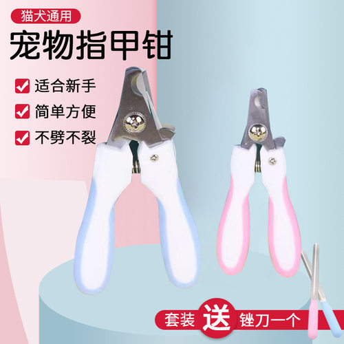 宠物指甲剪批发泰迪小型猫狗清洁用品幼猫狗狗专用不锈钢指甲剪刀