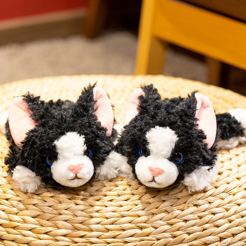 德文猫公仔猫咪毛绒玩具桌伴陪伴玩偶儿童生日礼物活动礼品拍照搭