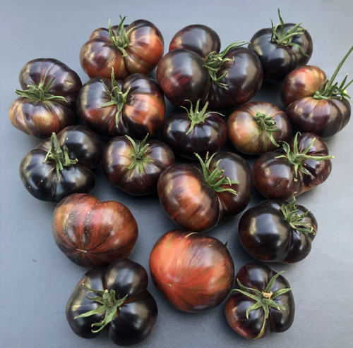 114玛莎星际明星战斗机牛排（5粒种子）