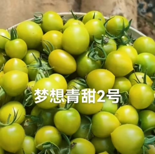 梦想青甜2号F1 无售后 5粒种子