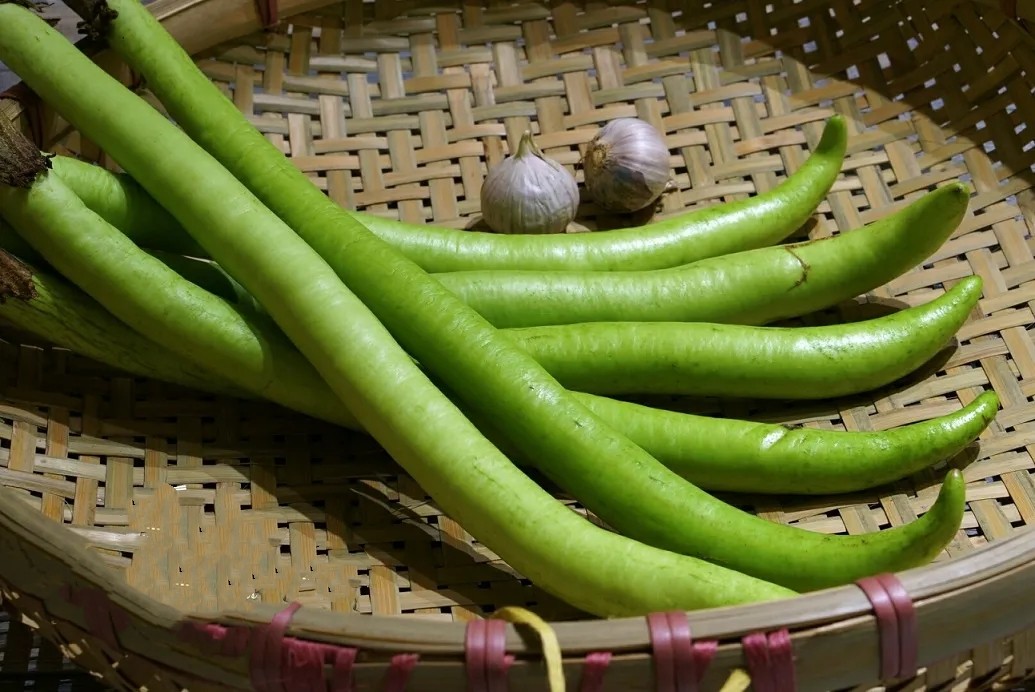 盐步秋茄，茄子30粒种子全店满38包邮偏远地区除外，无售后