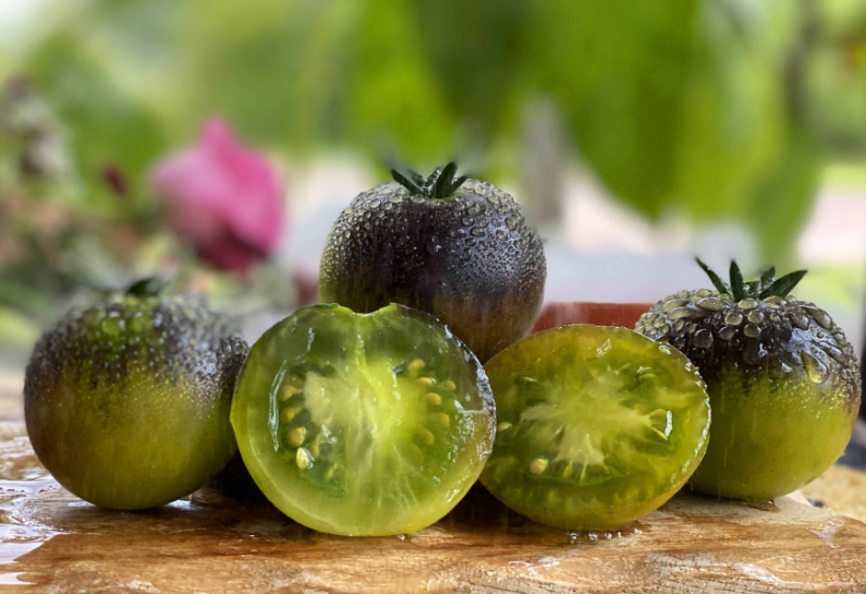 1000 24年5种新品童话套餐全店38包邮