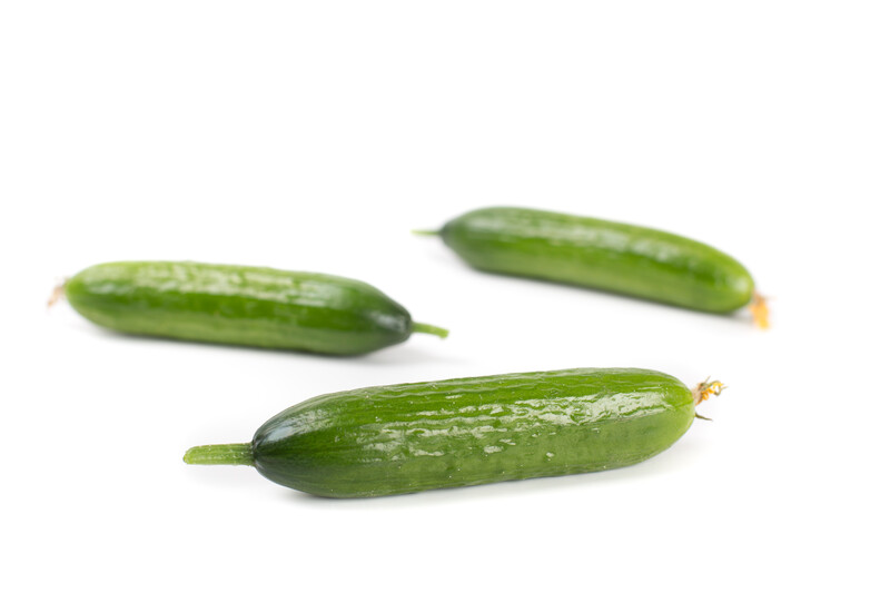 HG06康德Condesa进口黄瓜种子8粒全店38包邮无售后