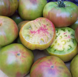 偏远地区除外 包邮 914黑菠萝 五粒种子全店满38