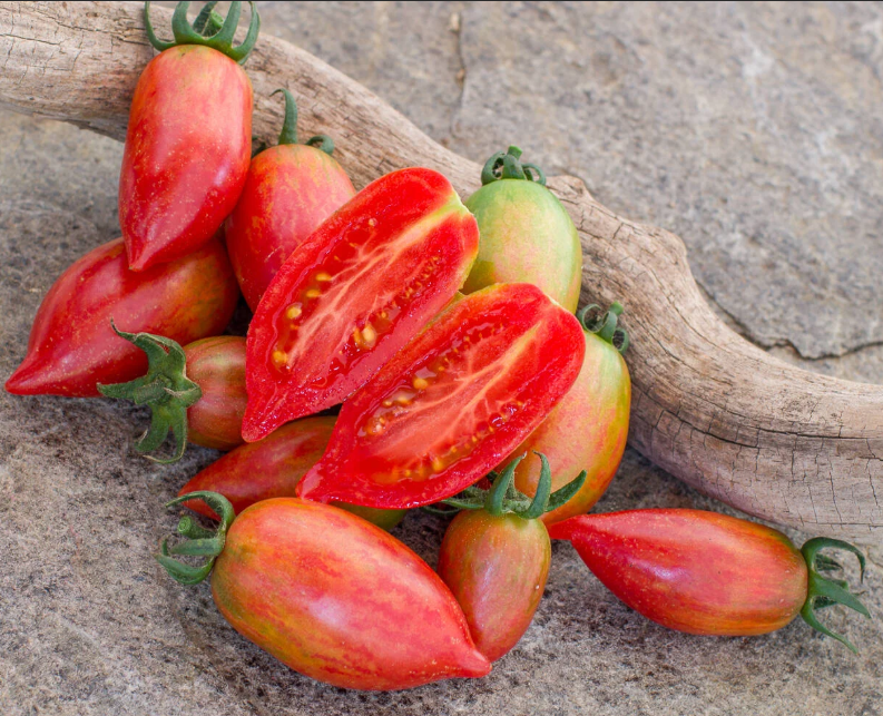 1016甜蜜冰柱5粒种子全店满38包邮偏远地区除外