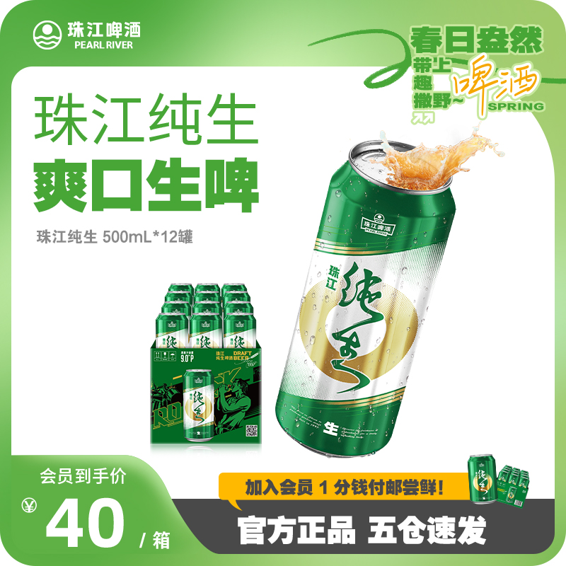 珠江纯生啤酒500mL*12罐装整箱批发听装易拉罐鲜啤酒官方旗舰店 酒类 啤酒 原图主图