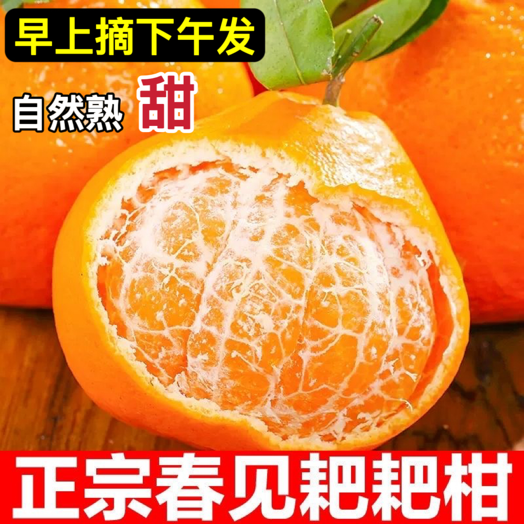 天猫【精品果】正宗春见耙耙柑甜
