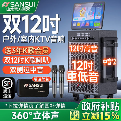 山水TD128双12寸户外K歌音响