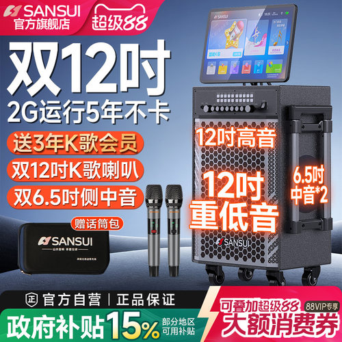 山水TD128双12寸户外K歌音响