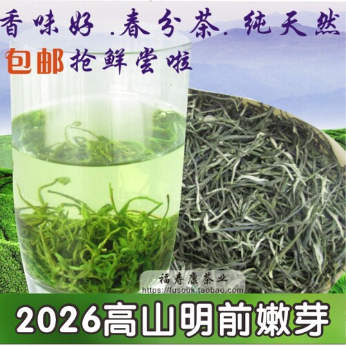 2026年明前高山毛尖春茶