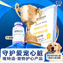 唯特适辅酶Q10缓解宠物心脏肥大呼吸急促猫狗特色保健品护心胶囊