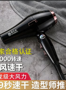 高尔夫大功率大风发廊速干蓝光负离子恒温多档调节轻巧家用吹风机