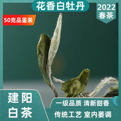 2022/2023建阳白茶花香白牡丹 漳墩高山明前华茶一号散茶鲜甜爽口