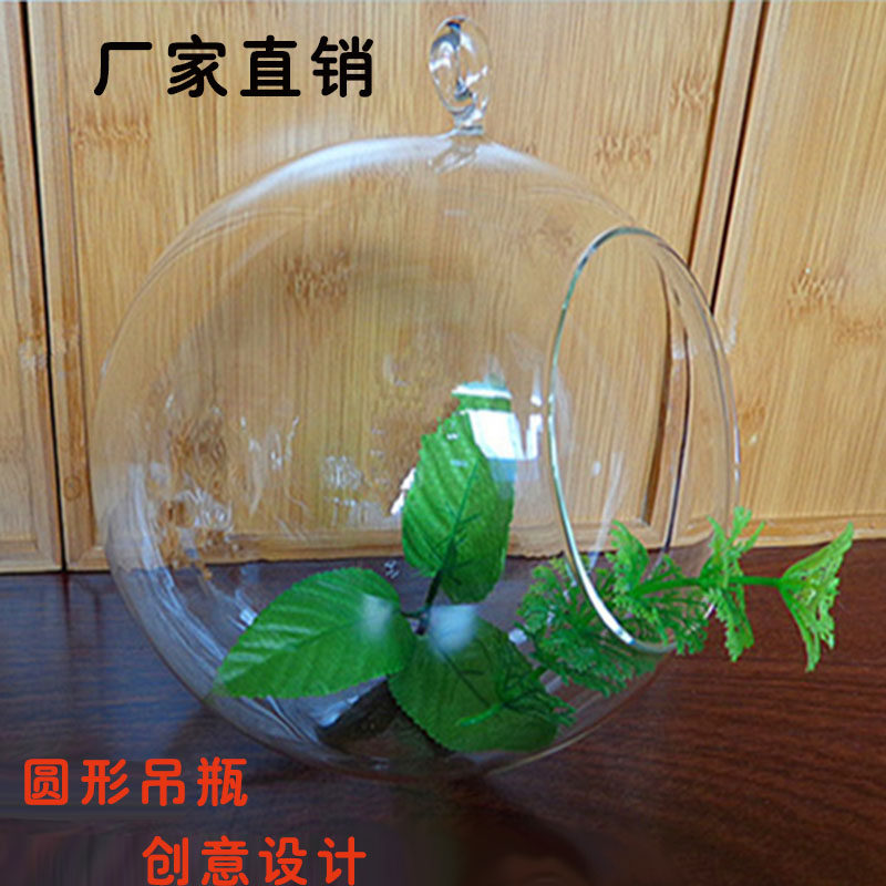 盆栽植物花瓶苔藓瓶微景观透明铁架悬挂摆件多肉闷养罩带灯软木塞