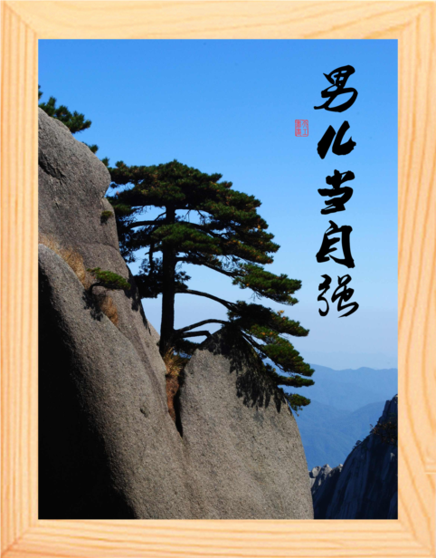 营养书画 天然实木有框画简约现代装饰画挂摆件 书法 男儿当自强