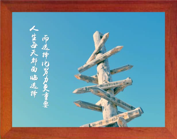 营养书画 天然实木有框画简约现代装饰画挂摆件 选择比努力更重要