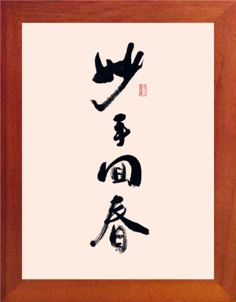 营养书画 天然实木有框画简约现代装饰画挂摆件 书法 妙手回春