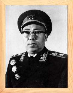 营养书画 天然实木有框画装饰画挂摆件 榜样的力量 罗荣桓元帅