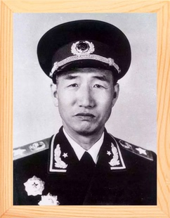 营养书画 天然实木有框画装饰画挂摆件 榜样的力量 徐向前元帅