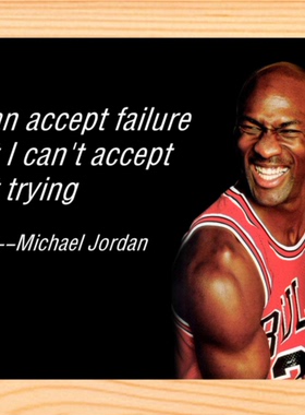 营养书画 进口实木有框画装饰画  I can't accept not trying乔丹