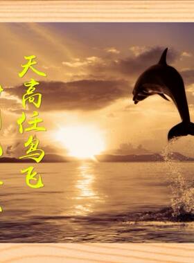 挂摆件海阔凭鱼跃,天高任鸟飞