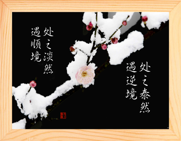 营养书画 天然实木有框画装饰画 遇顺境处之淡然 遇逆境处之泰然