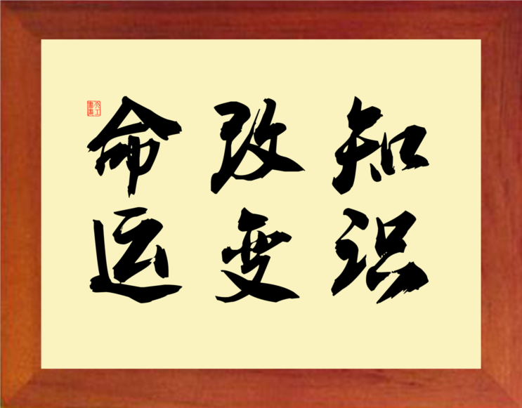 营养书画 天然实木有框画 简约装饰画挂摆件 书法 知识改变命运