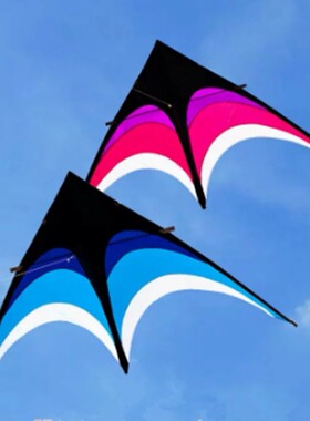 Children kites flying toys professional cometas de viento ge