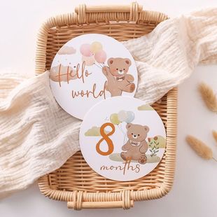 Cardboard Baby Monthly Milestone Photo Card Double Sided Pho