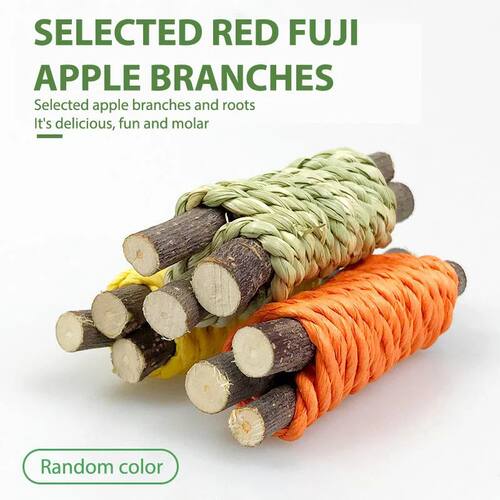 2023 Rabbit Chew Toy Organic Natural Apple Wood Grass Cake P