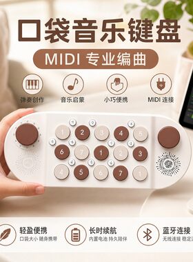 儿童成长音乐键盘钢琴电子琴玩具
