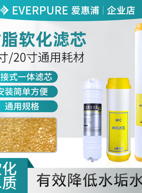 净水器树脂滤芯软化水质商用奶茶店制冰机前置过滤器