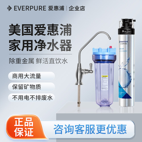 爱惠浦净水器家用直饮过滤器