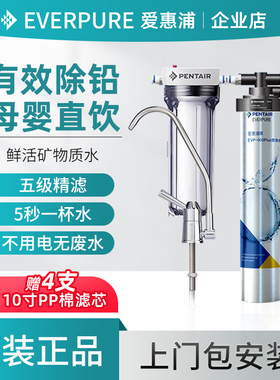 爱惠浦净水器EF-900P家用H104直饮机自来水厨房过滤器