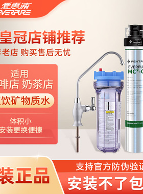 爱惠浦MC2净水器商用奶茶店饮水机大流量家用厨房厨下净水器EF900