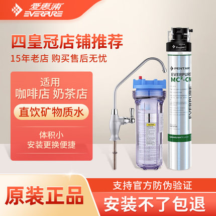 爱惠浦MC2净水器商用奶茶店饮水机大流量家用厨房厨下净水器EF900