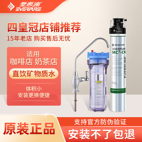 爱惠浦净水器家用厨房奶茶店