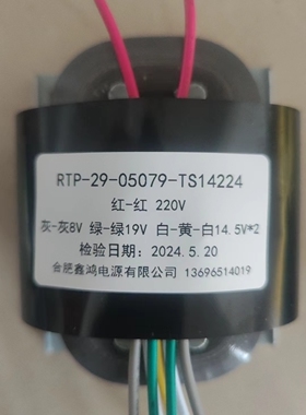 RTP-29-05079 220V转8V19V双14.5V 纯铜参数可定制