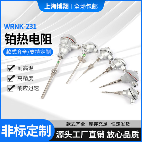 铂热电阻WRNK-231感温探头