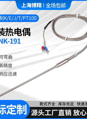 K型铠装热电偶E/J针型WRNK-191测温线PT100温度传感器高精度探头