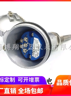 一体化热电阻温度变送器 SBWZP-230 WZPB-231 PT100铂电阻4-20mA