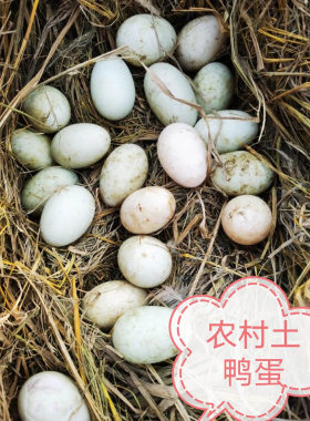 云南蒙自农村土鸭蛋